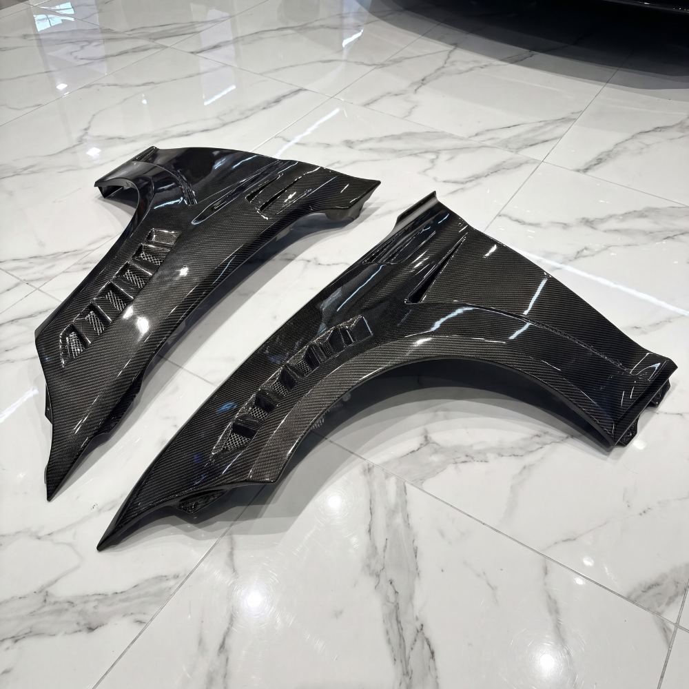 Carbon Fiber Fender - (1 Series F20/F21 2011/19)