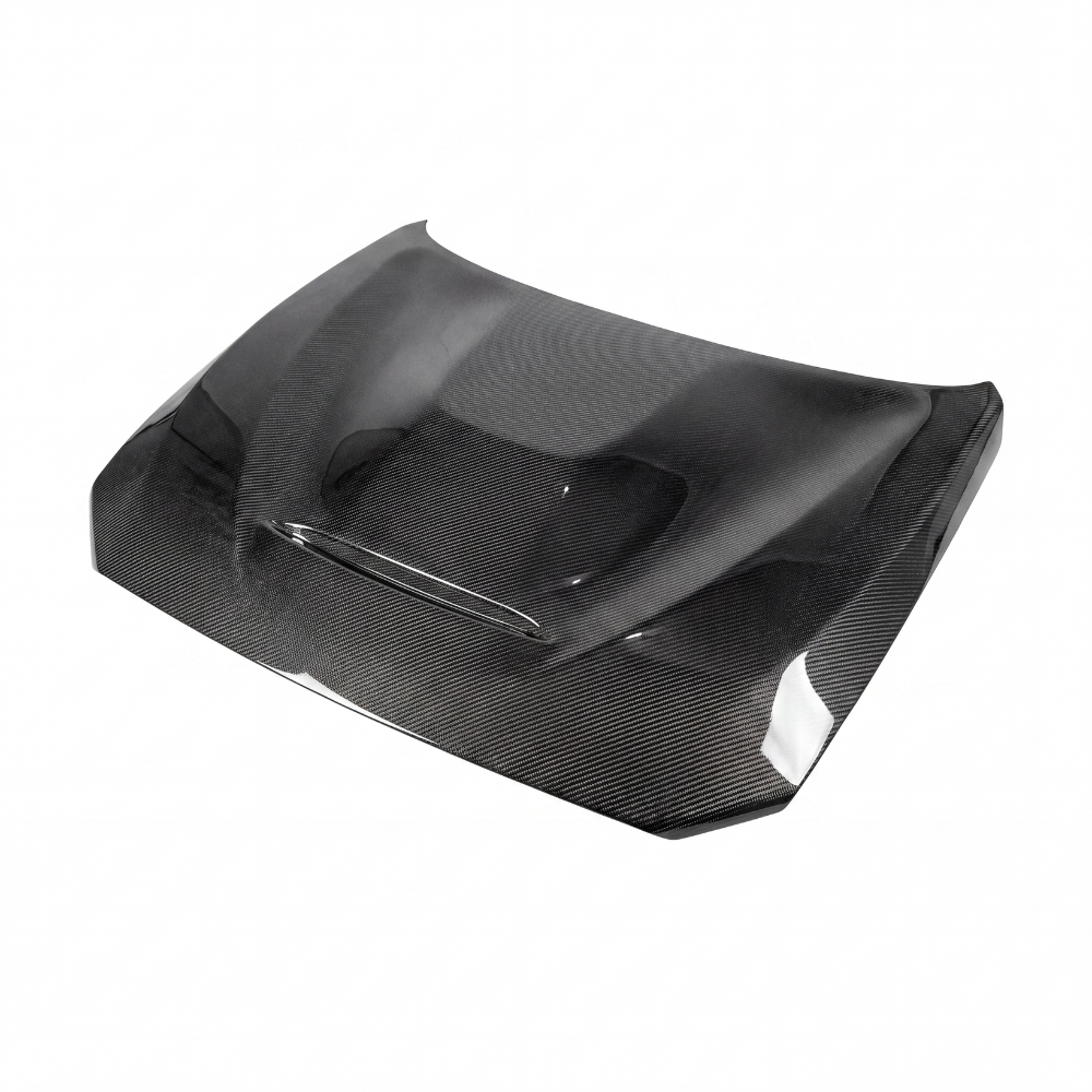 M2 GTS Carbon Bonnet - 1/2 Series (F20/F21 - F22/F23 2014/19)