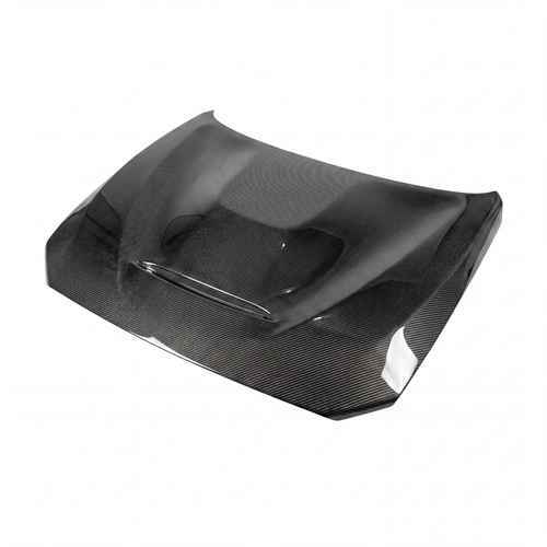 M2 GTS Carbon Bonnet - 1/2 Series (F20/F21 - F22/F23 2014/19)