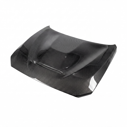M2 GTS Carbon Bonnet - 1/2 Series (F20/F21 - F22/F23 2014/19)