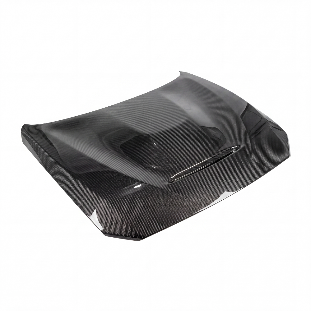 M2 GTS Carbon Bonnet - 1/2 Series (F20/F21 - F22/F23 2014/19)