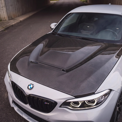 M2 GTS Carbon Fiber Front Bonnet - (1 Series F20/F21 - 2011/19) (M2 F87)