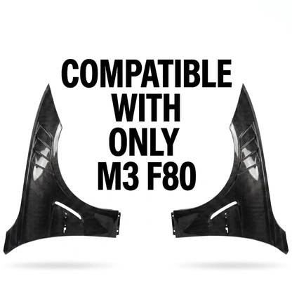 M Performance Carbon Fenders - M3 F80