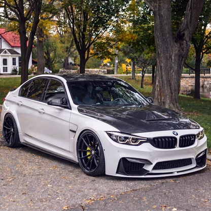 Carbon GTS Bonnet - 3 & 4 Series (F30/F31/F32/F33)