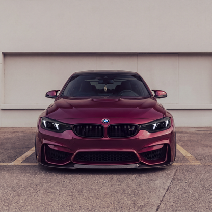 BMW 3 Series F30/F31/F35 (2012-2018) Dual Snake Eyes