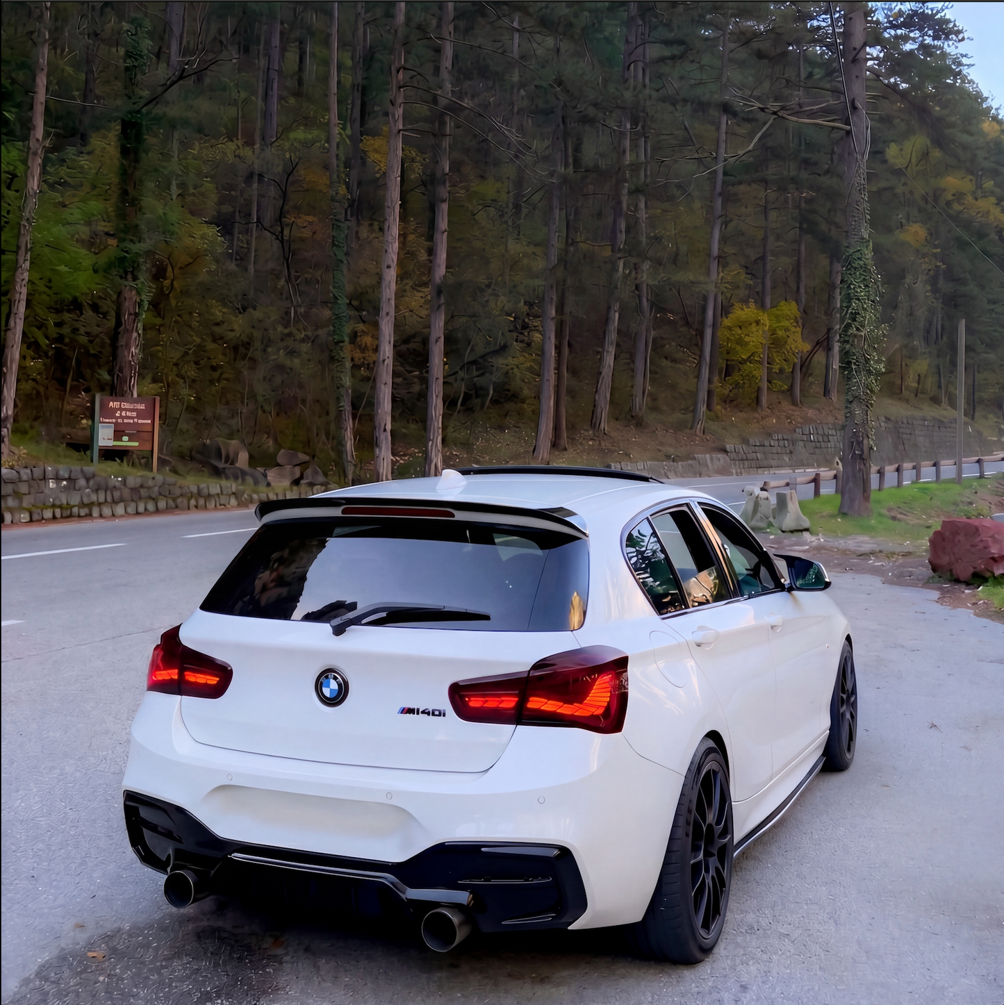 BMW 1 Series (F20/F21 2015-2019) GTS TailLights