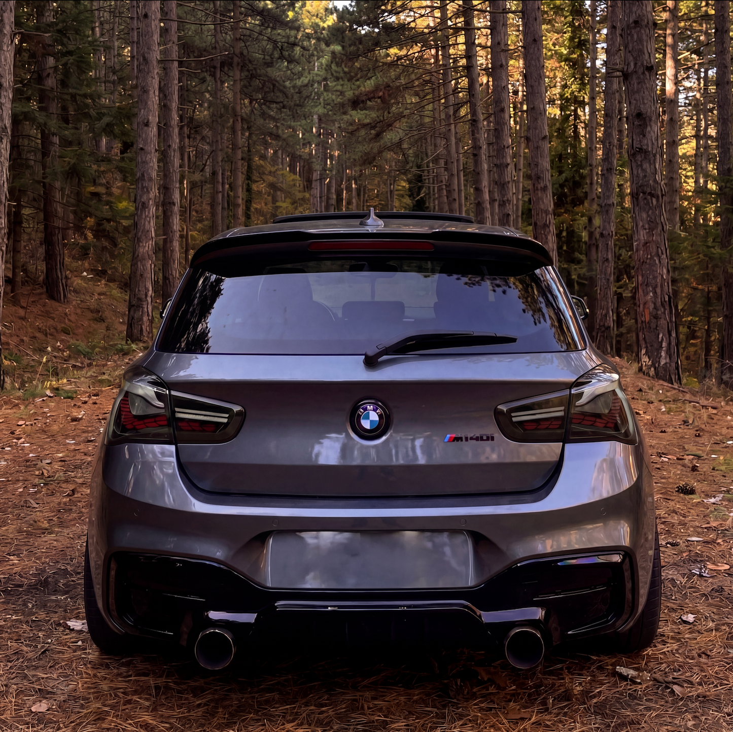 BMW 1 Series (F20/F21 2015-2019) GTS TailLights