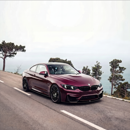 BMW 4 Series (F32/F33 2013-2019) Snake Eyes