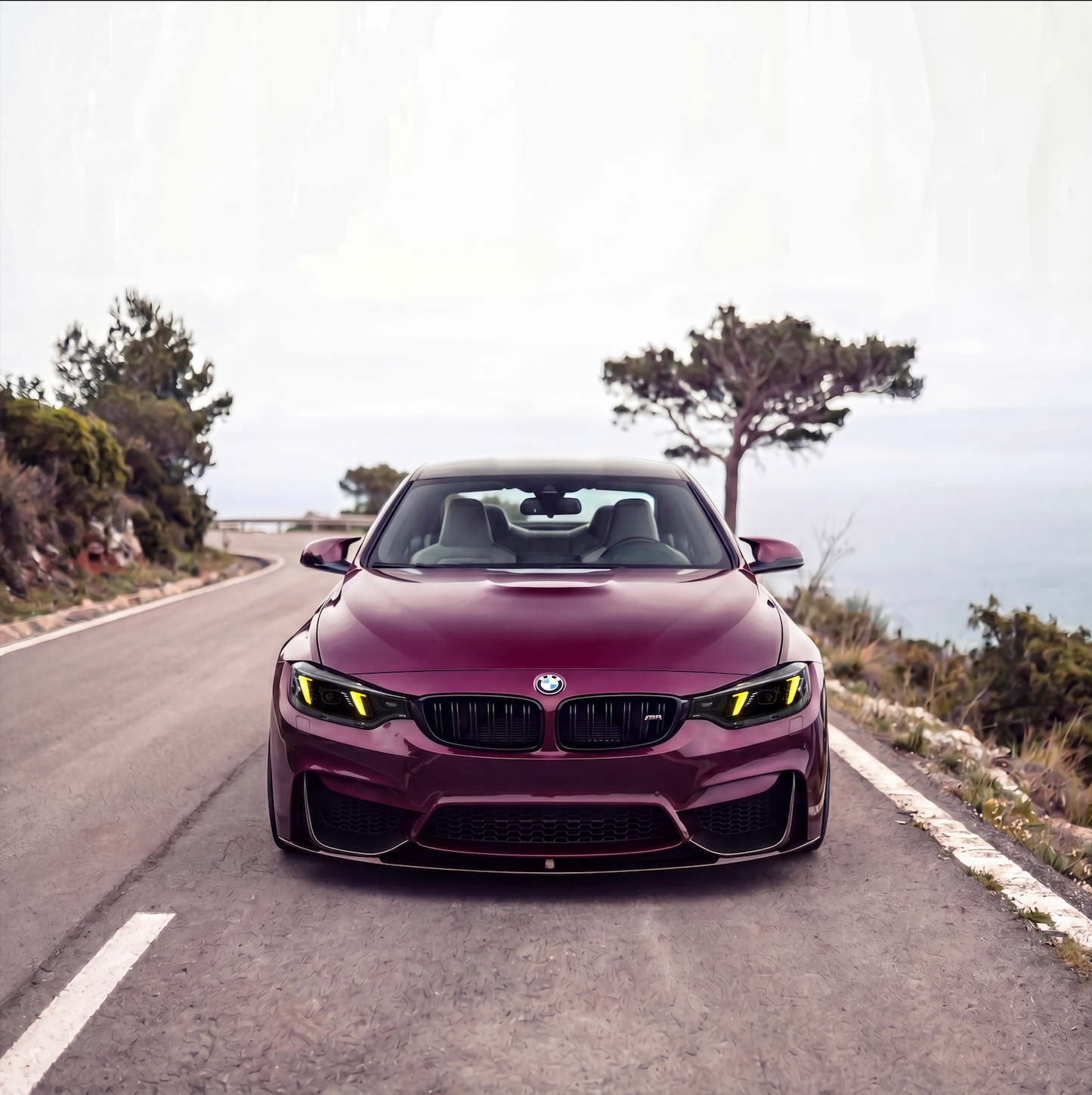 BMW 4 Series (F32/F33 2013-2019) Snake Eyes